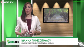 Screenshot 2022-10-24 at 1.38.56 PM