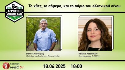 Το χθες, το σήμερα και το αυριο του ελληνικού οίνου