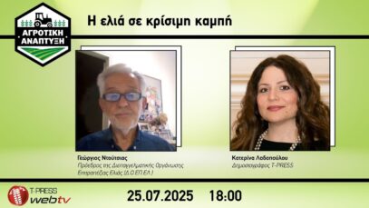 Η ελιά σε κρίσιμη καμπή