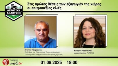 Στις πρώτες θέσεις των εξαγωγών της χώρας οι επιτραπέζιες ελιές