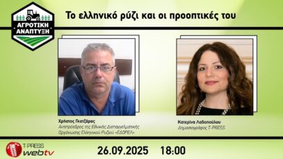 Το ελληνικό ρύζι και οι προοπτικές του