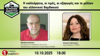 Η καλλιέργεια, οι τιμές, οι εξαγωγές και το μέλλον του ελληνικού βαμβακιού