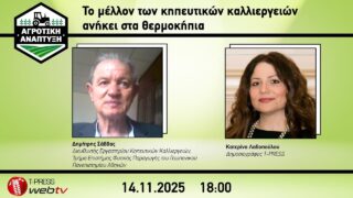 Το μέλλον των κηπευτικών καλλιεργειών ανήκει στα θερμοκήπια