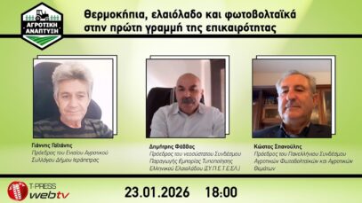 Θερμοκήπια, ελαιόλαδο και φωτοβολταϊκά στην πρώτη γραμμή της επικαιρότητας