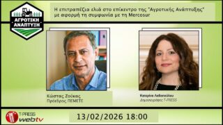 Η επιτραπέζια ελιά στο επίκεντρο της “Αγροτικής Ανάπτυξης” με αφορμή τη συμφωνία με τη Mercosur