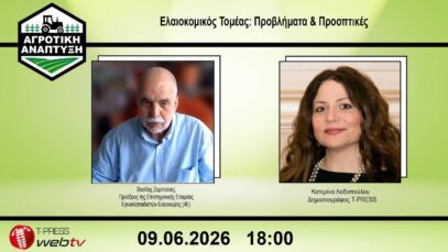 Ελαιοκομικός τομέας: Προβλήματα & προοπτικές