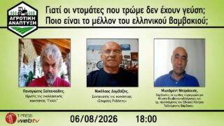 Γιατί οι ντομάτες που τρώμε δεν έχουν γεύση; Ποιο είναι το μέλλον του ελληνικού βαμβακιού;