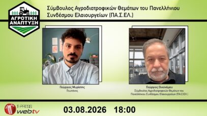 Παγκόσμια έρευνα για τα εισοδήματα των αγροτών – Τι συμβαίνει με τα ελαιουργεία και τους τενεκέδες