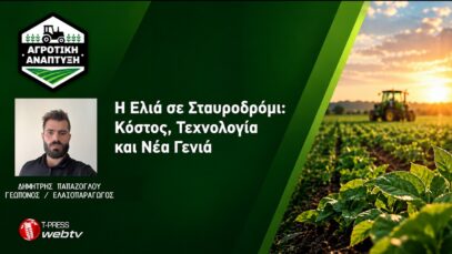 Η Ελιά σε Σταυροδρόμι: Κόστος, Τεχνολογία και Νέα Γενιά